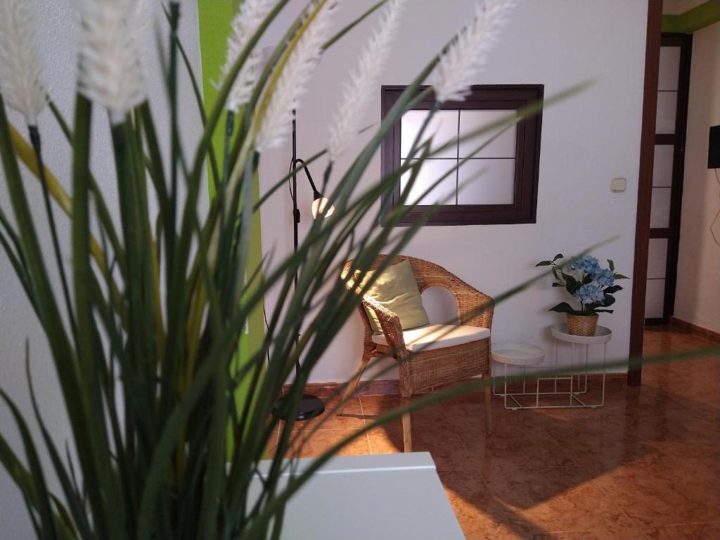 uma sala de estar com um sofá e um vaso de plantas em Coqueto miniapartamento junto centro Torremolinos em Torremolinos