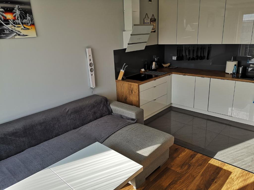 Siechnice的住宿－Apartament SIECHNICE，带沙发的客厅和厨房