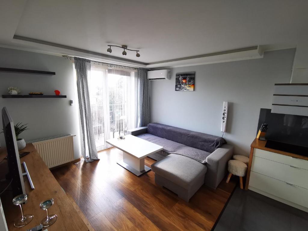 TV a/nebo společenská místnost v ubytování Apartament SIECHNICE