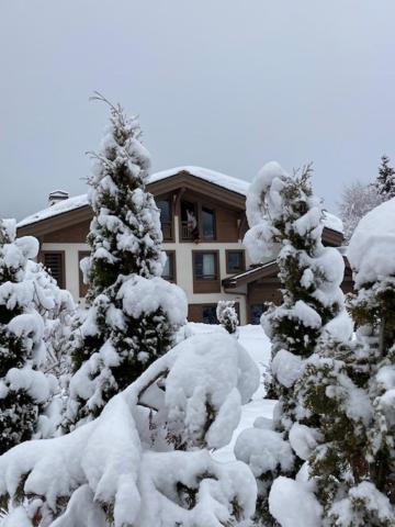 a snow covered yard with trees and a house at LE 1307 in Megève