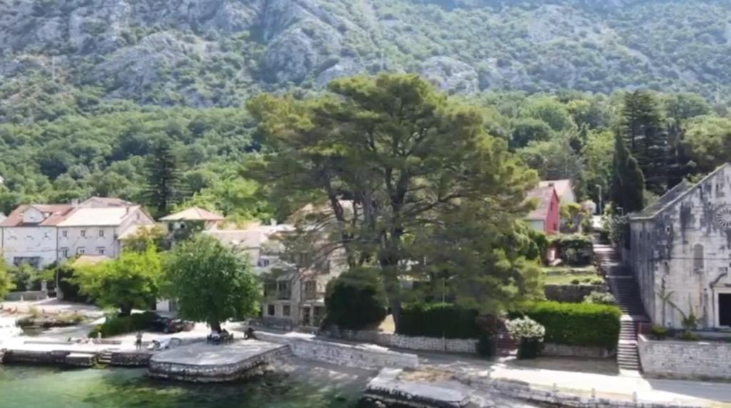 Apartment on the shore of the bay of Kotor with free Wi-Fi