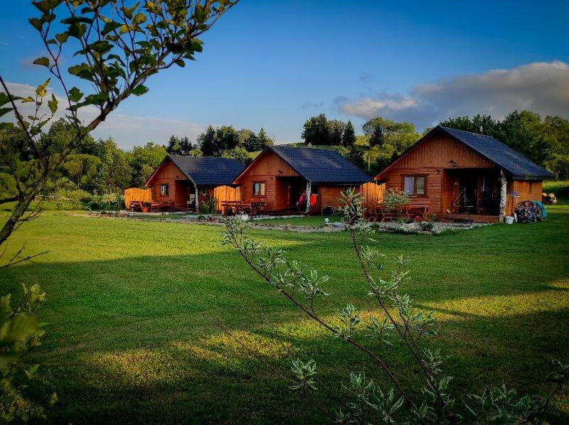 a couple of wooden houses in a grassy field at Zielona Dolina Hoczew in Hoczew