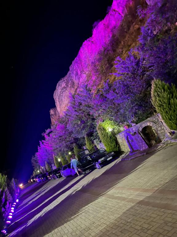 Mynd úr myndasafni af Kukësi Resort Aldo í Lin