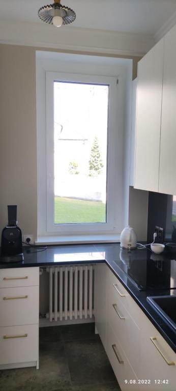 Kuchyňa alebo kuchynka v ubytovaní Apartament w modernistycznej kamienicy w Gdyni