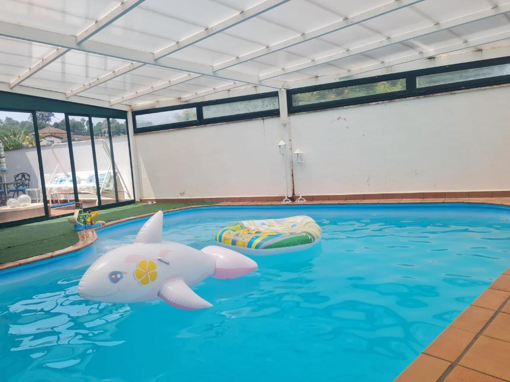 una piscina con un tiburón y una carroza en el agua en Castelodobispo - Ourense, en Sobrado del Obispo