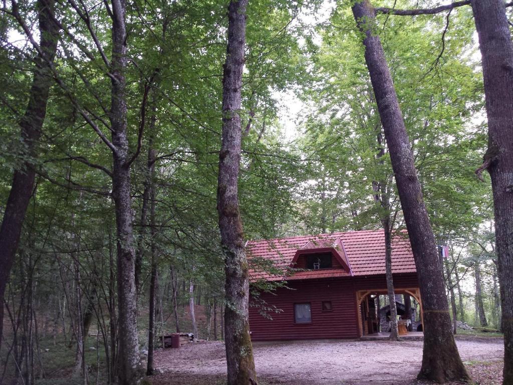 een hut midden in het bos bij Holiday Home Ana in Tounj