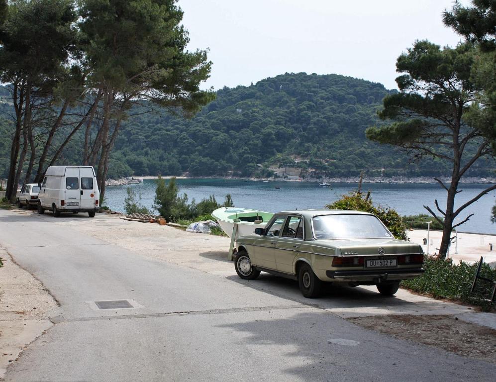 Fotografia z galérie ubytovania Apartments by the sea Cove Saplunara, Mljet - 4900 v destinácii Saplunara