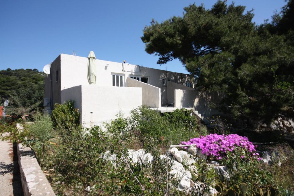 Apartments by the sea Cove Saplunara, Mljet - 4914 - отзывы и видео