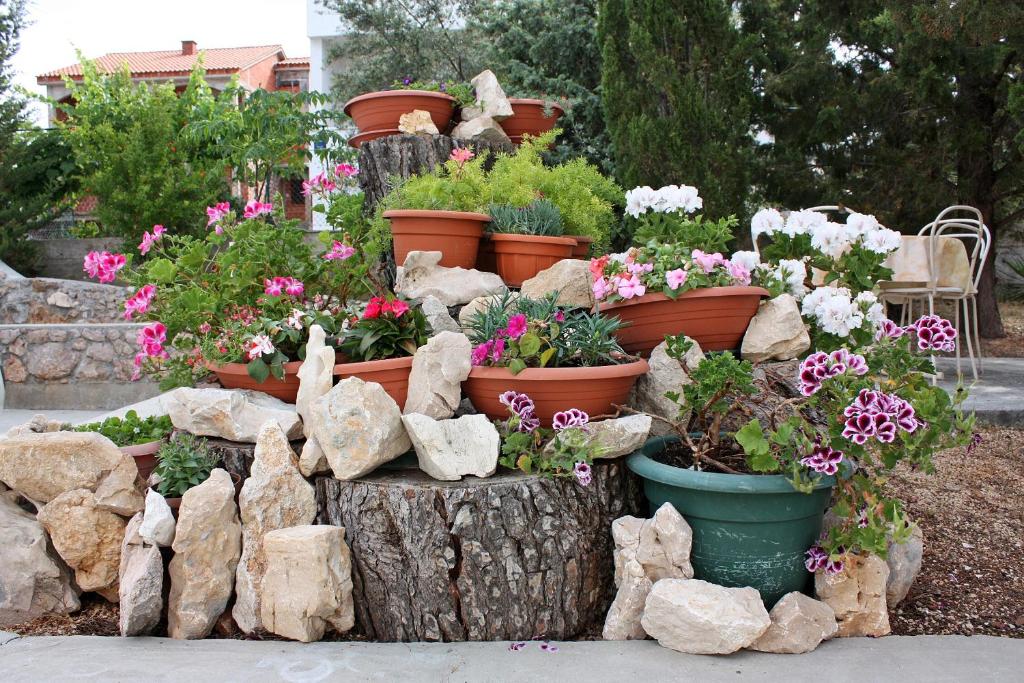 Zahrada ubytování Apartment Barbat 4962a