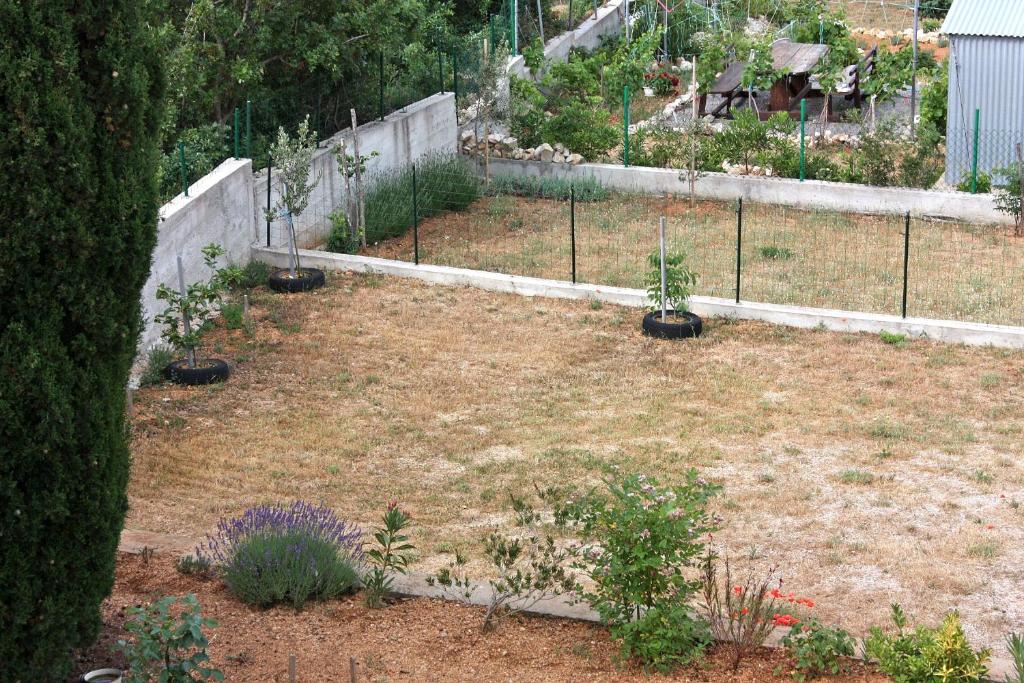 Zahrada ubytování Apartment Barbat 4962a