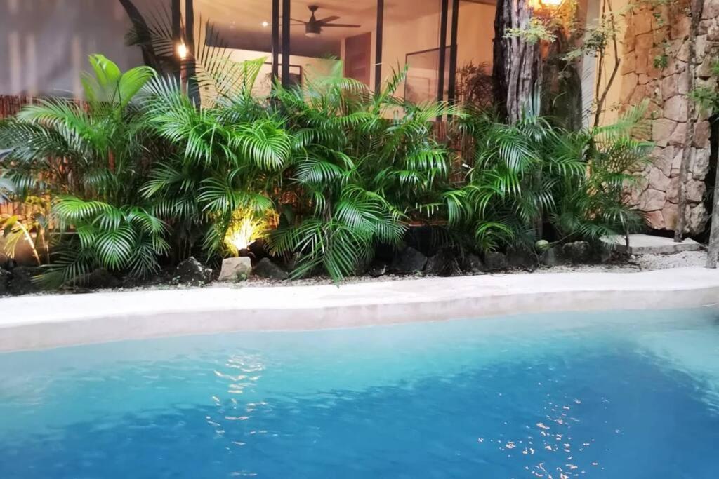 圖盧姆的住宿－Agua & Selva luxury Jungle loft，植物庭院中的游泳池