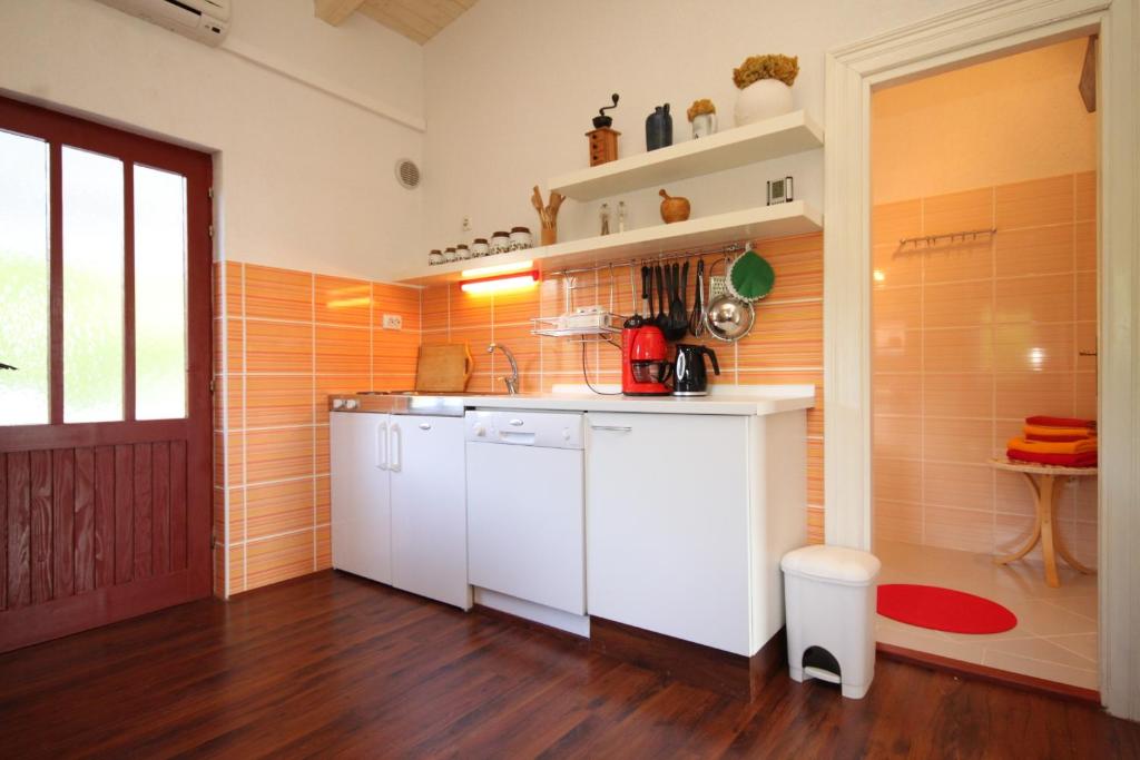 Kuchyň nebo kuchyňský kout v ubytování Apartments with parking spaces Rukavac, Vis - 8489