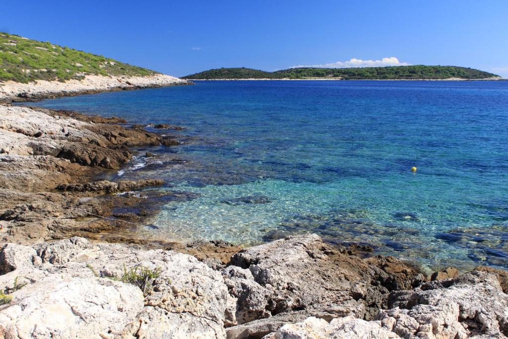 Fotografie z fotogalerie ubytování Apartments by the sea Brgujac, Vis - 8899 v destinaci Vis