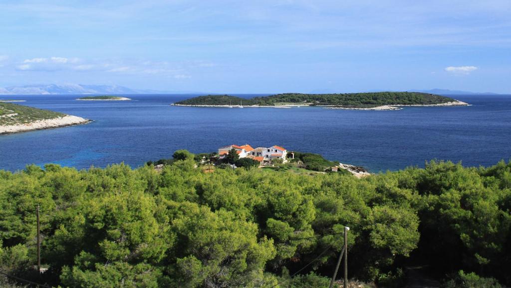Fotografie z fotogalerie ubytování Apartments by the sea Brgujac, Vis - 8899 v destinaci Vis