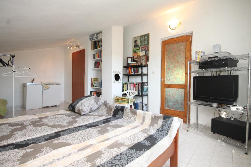 Televízia a/alebo spoločenská miestnosť v ubytovaní Apartment Rukavac 8864b