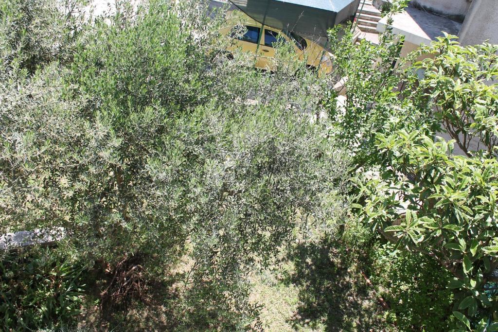 Fotografie z fotogalerie ubytování Apartments with WiFi Split - 11285 ve Splitu