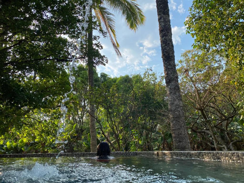 a person in a pool of water with trees at Nanda Parbat Hostal in San Rafael Cedros