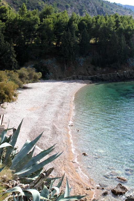 a beach with a bunch of plants and water at Apartments with a parking space Komiza, Vis - 12325 in Komiža