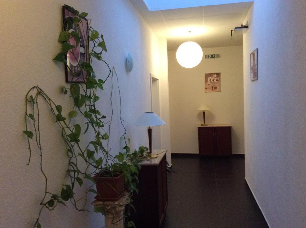 Fotografie z fotogalerie ubytování Hotel-12-Apostel v destinaci Pforzheim