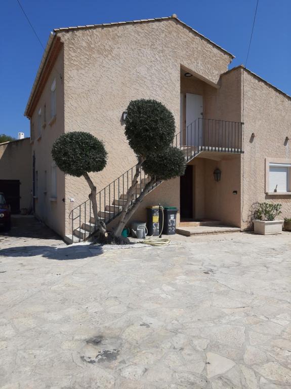 un bâtiment avec un escalier et deux arbres devant lui dans l'établissement APPARTEMENT MESSINA, à La Ciotat