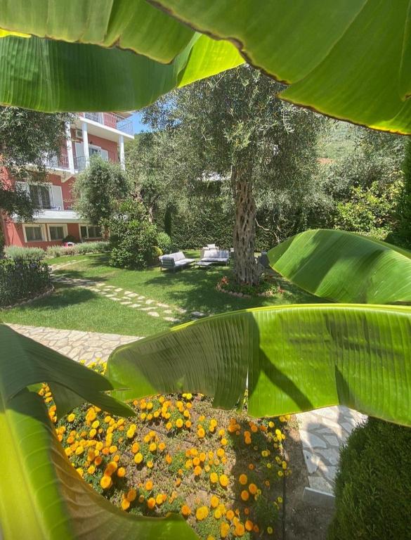 Zahrada ubytování Vassilis Guest House
