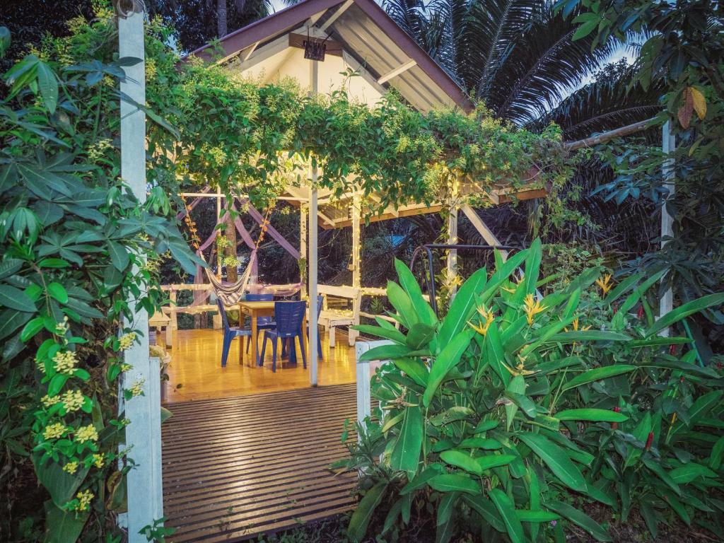 Timba Garden FREE TOWN AND JETTY TRANSPORT外面的花园