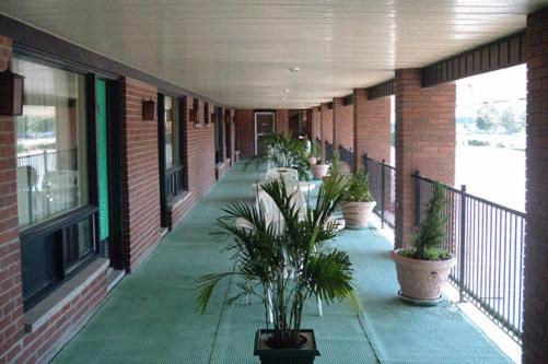 a hallway of a building with potted plants on it at Motel Du Chevalier in Gatineau