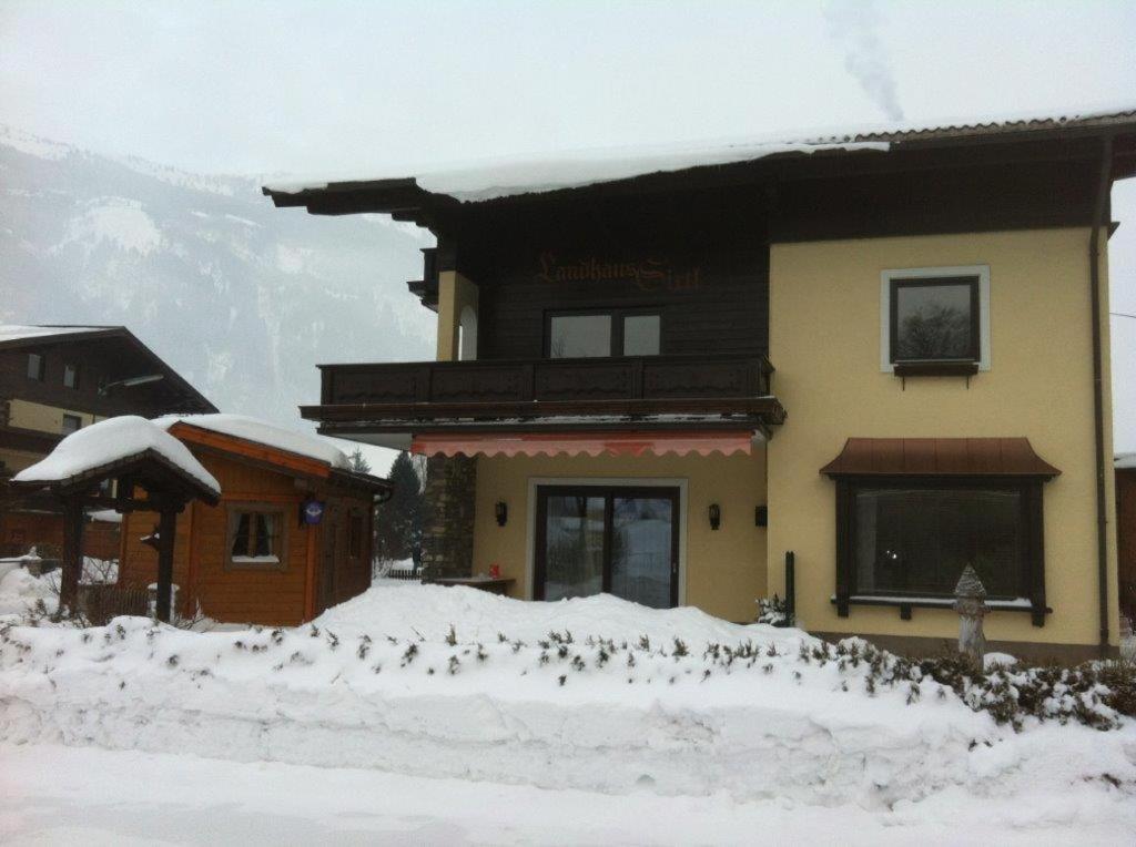 grupa ptaków stojących na śniegu przed budynkiem w obiekcie Sixtl, Landhaus w mieście Bad Hofgastein