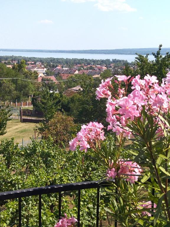 Příroda nedaleko prázdninového domu
