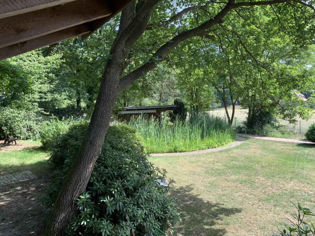 a tree in a yard next to a field at Ferienwohnung Lehringen in Kirchlinteln