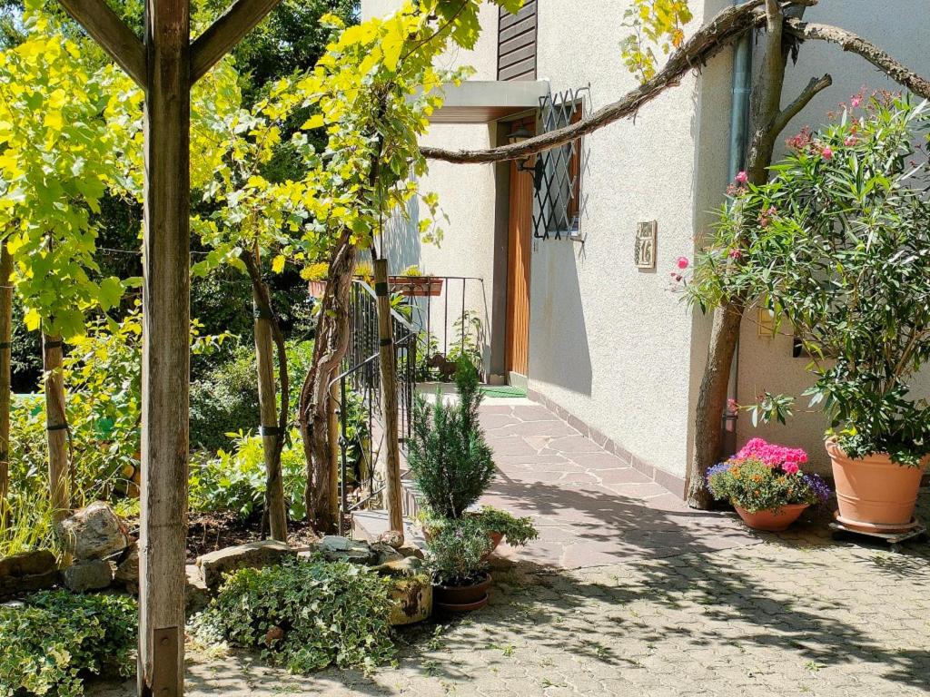 Κήπος έξω από το Ferienwohnung Gutermuth Obereisenheim