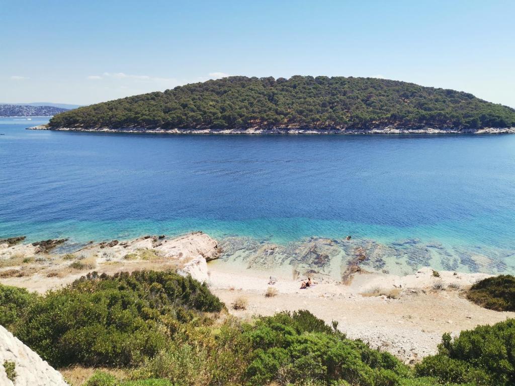 an island in the ocean with a sandy beach at Apartman "Cvita" in Drage