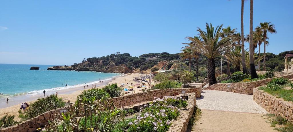a beach with palm trees and people on the beach at SouthView Studio Silchoro AL in Albufeira