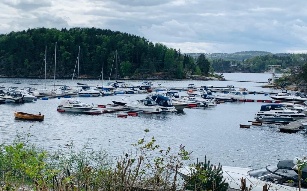 a bunch of boats are docked in a harbor at Renovated sea facing cottage on the Eidanger fjord in Porsgrunn