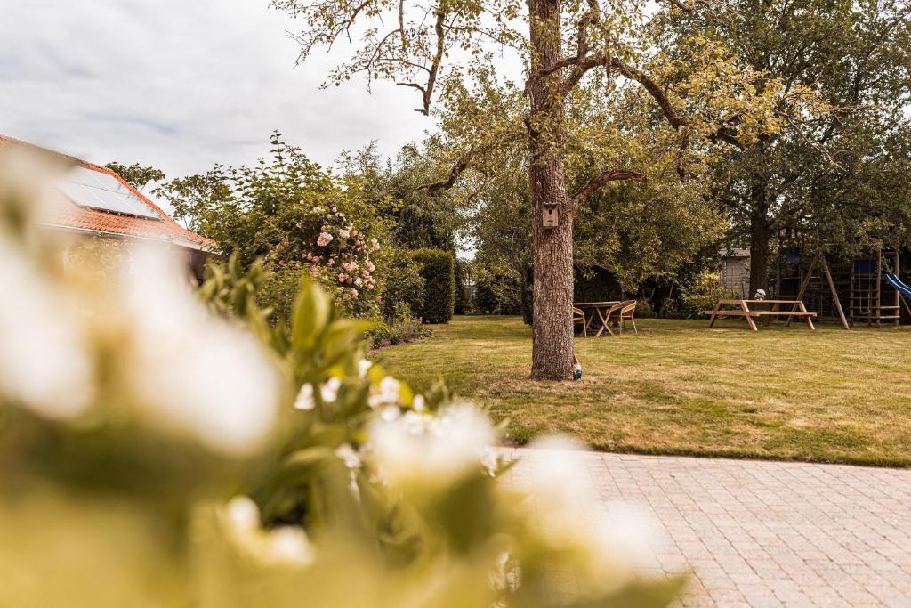 B&B Maison Lize في Lievegem: حديقة بها طاولة نزهة وشجرة