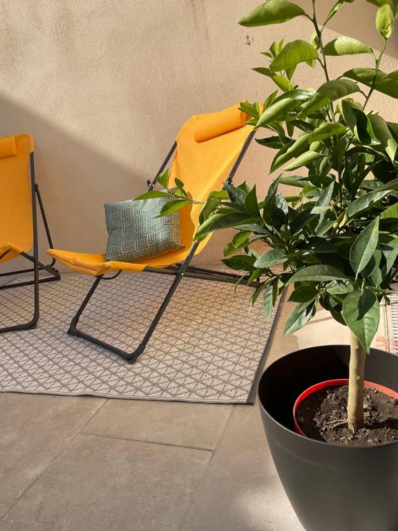 Ma pierre à l'édifice, Face à la Cité vue sublime, studio avec terrasse - 13