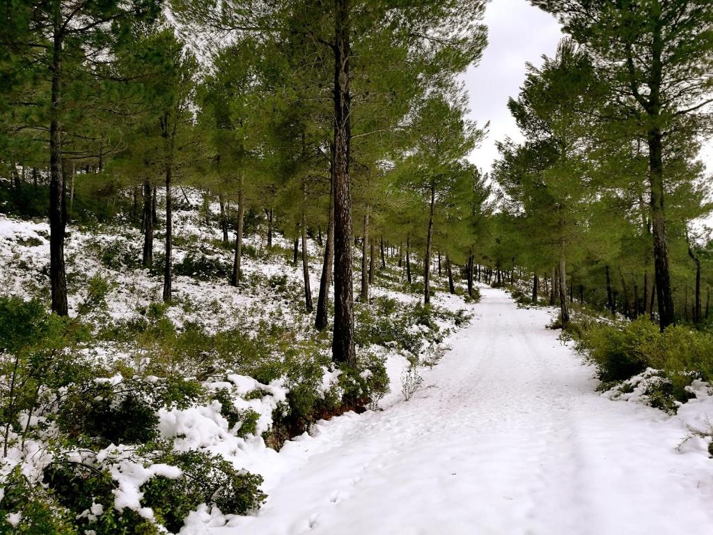 Finca La Celada v zimě