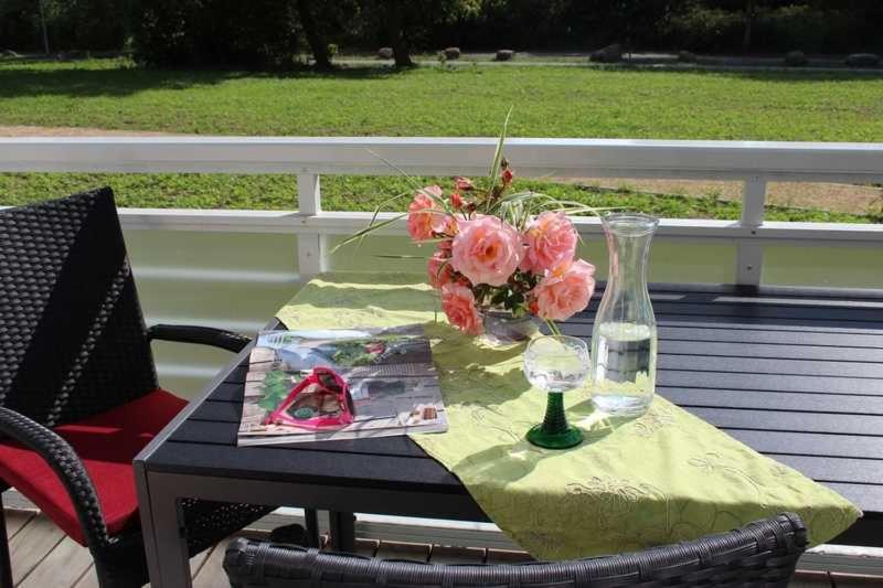 un tavolo con un vaso e fiori su un portico di DUENENROSE App Nr 03 max 3 Pers a Dierhagen