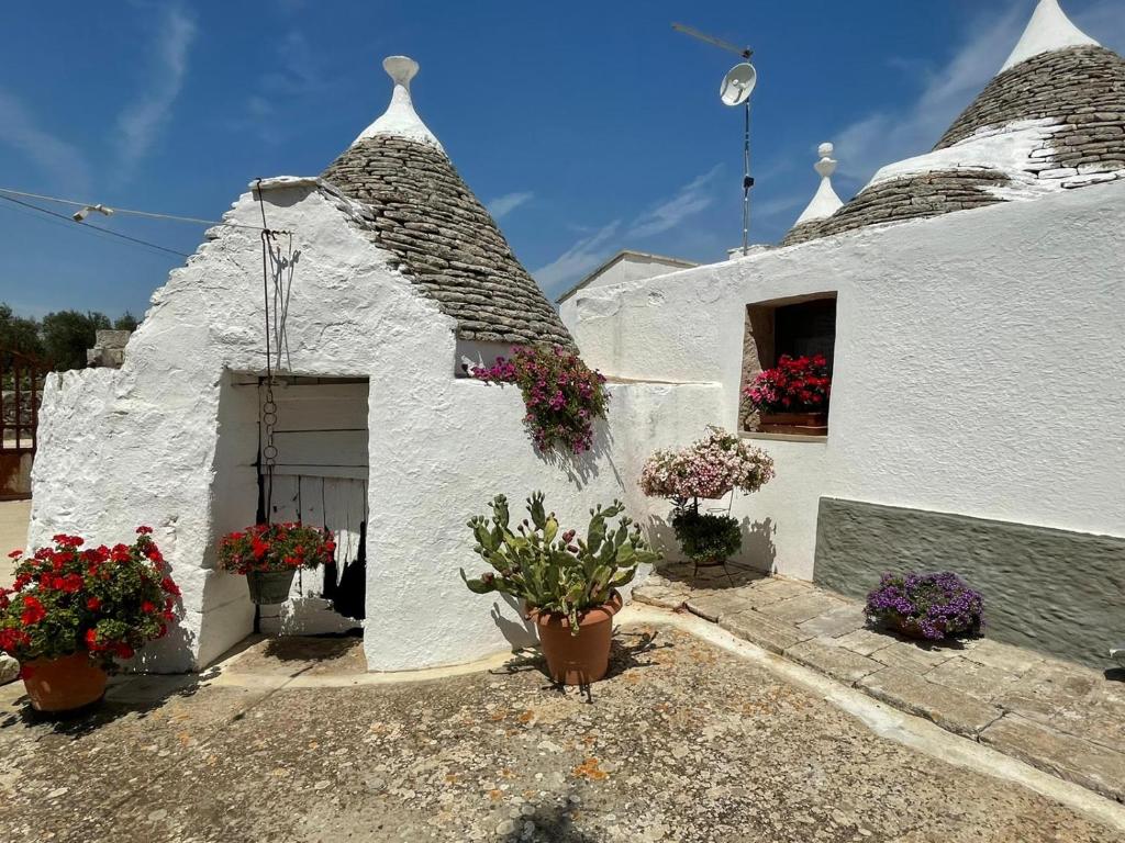 Biały dom z kwiatami w garnkach przed nim w obiekcie Trulli Demetra w mieście Martina Franca