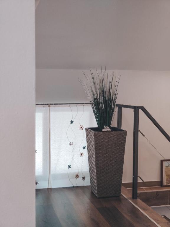 Villa-Apartments Bognar - Appartamento Con Tre Camere Da Letto