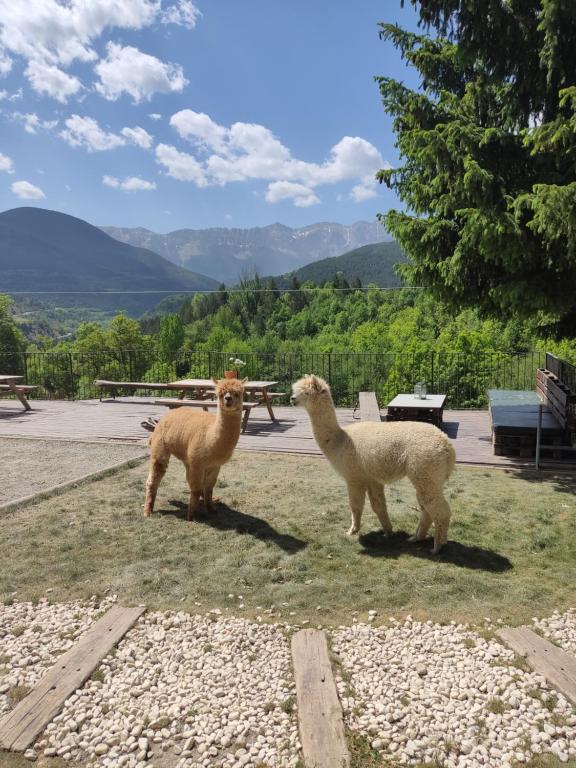 Alberg Can Ribals, Lles – Precios actualizados 2022