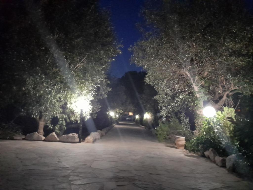 a street at night with a car driving down the road at Oasi in Salamina