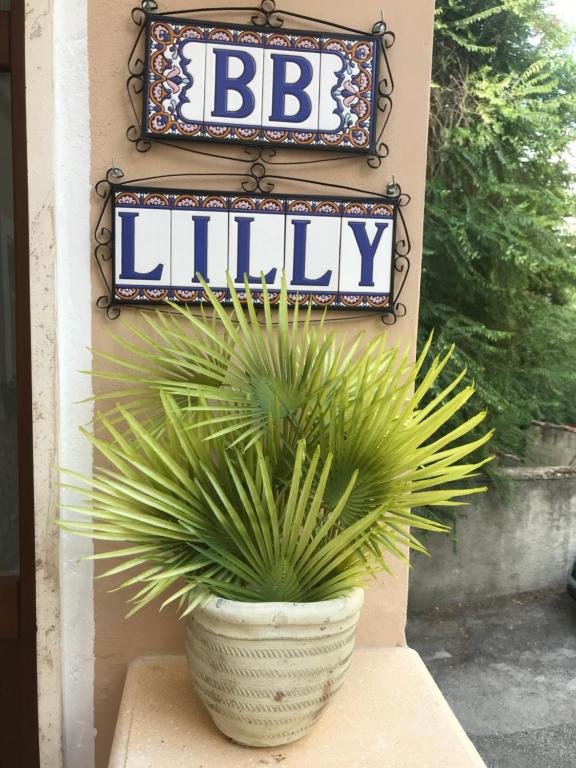 una pianta in vaso seduta su un cornicione accanto a un cartello di Lilly a Sulmona