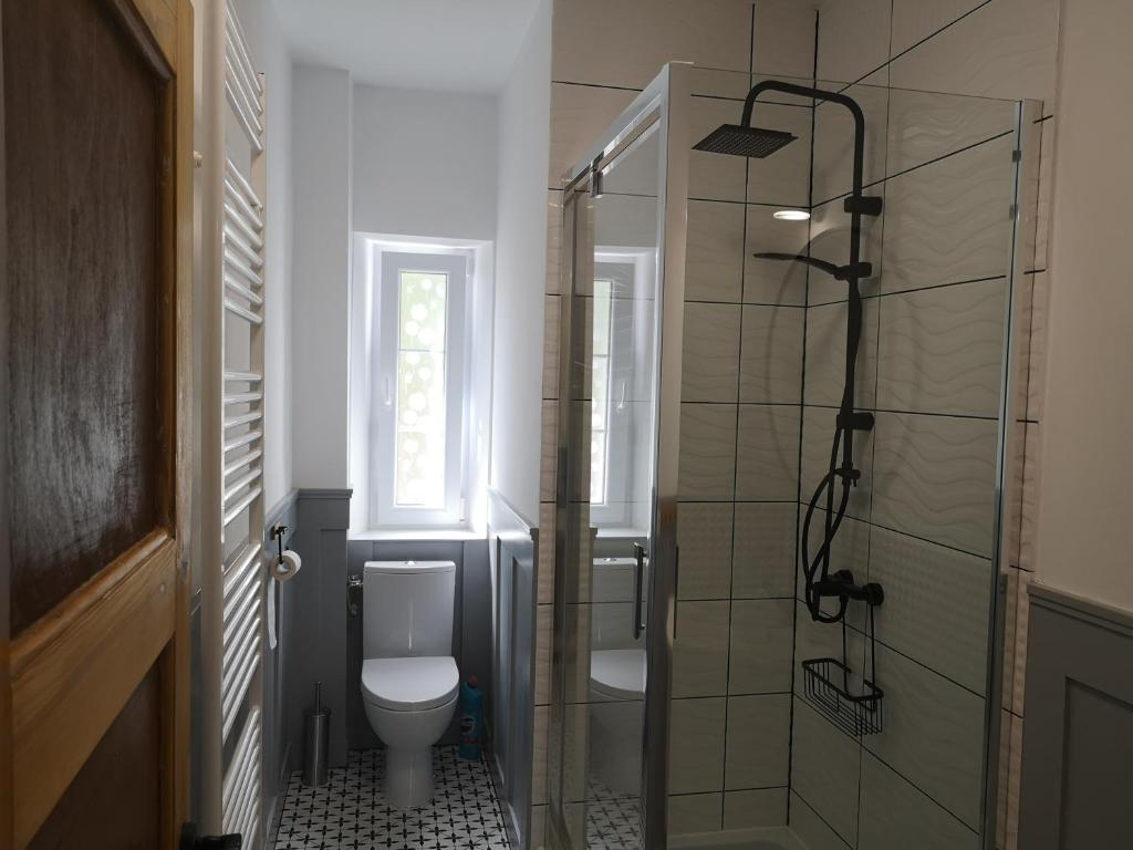 a bathroom with a toilet and a glass shower at Agroturystyka Cieślarówka in Lubawka