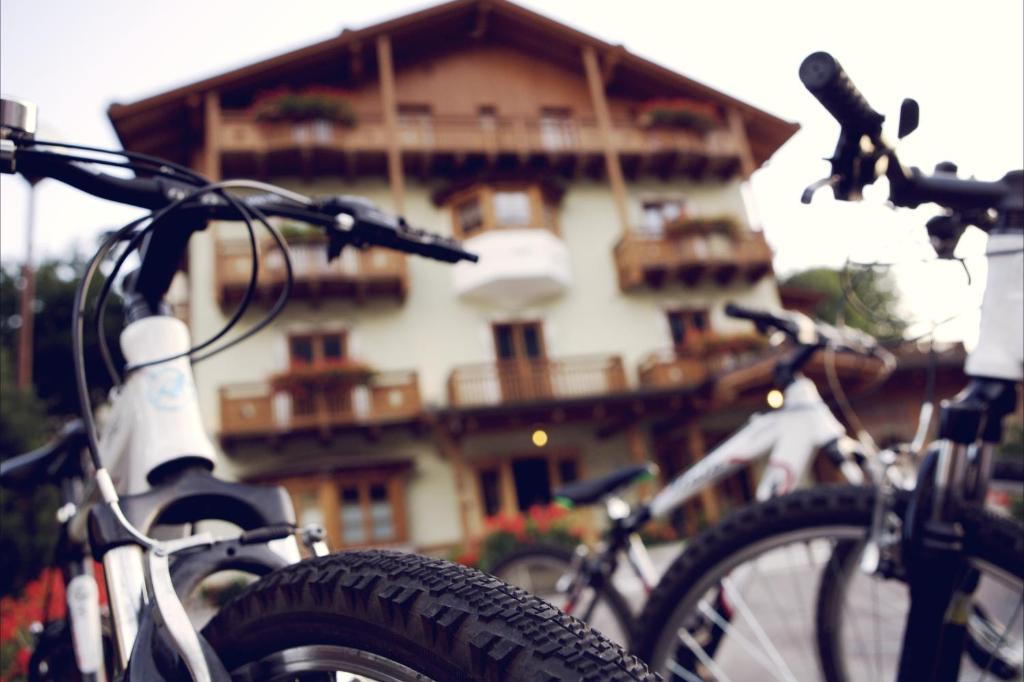 Jízda na kole v ubytování Hotel Almazzago nebo okolí