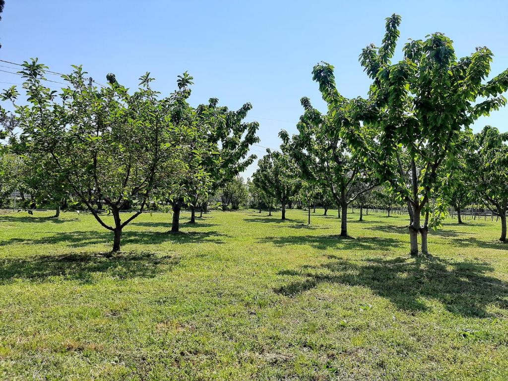 Home Mia Airport - 19