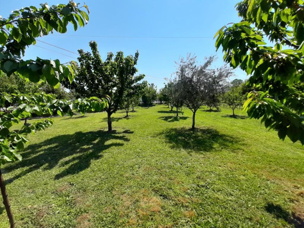 Home Mia Airport - 18