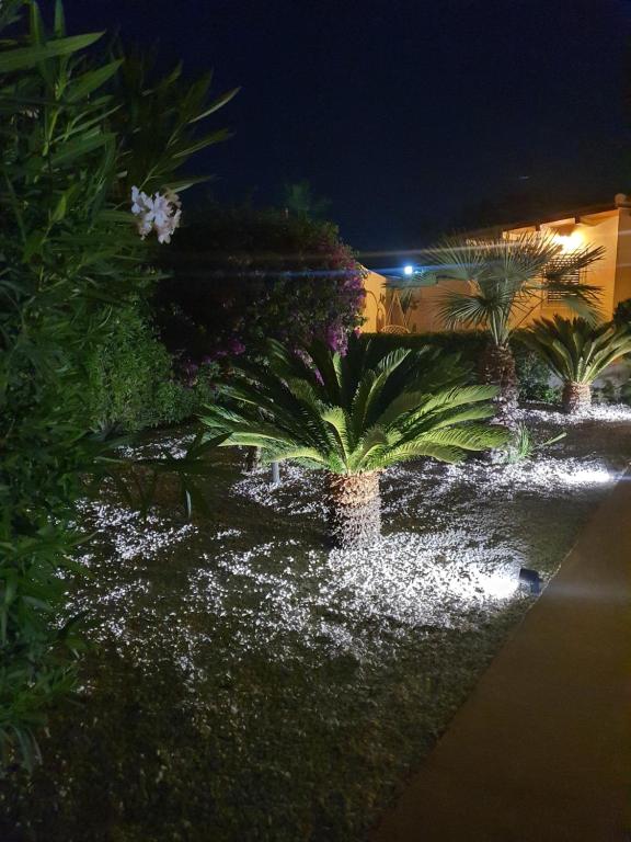 Zahrada ubytování Agave Villa's Fronte Mare