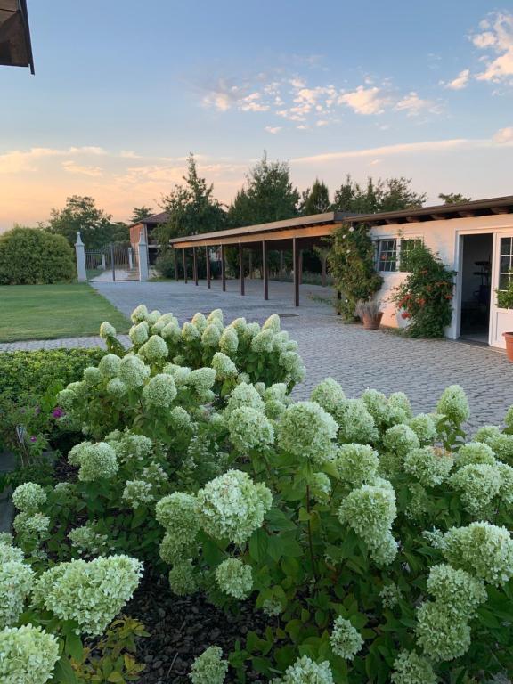 Ogród w obiekcie Villa San Pietro