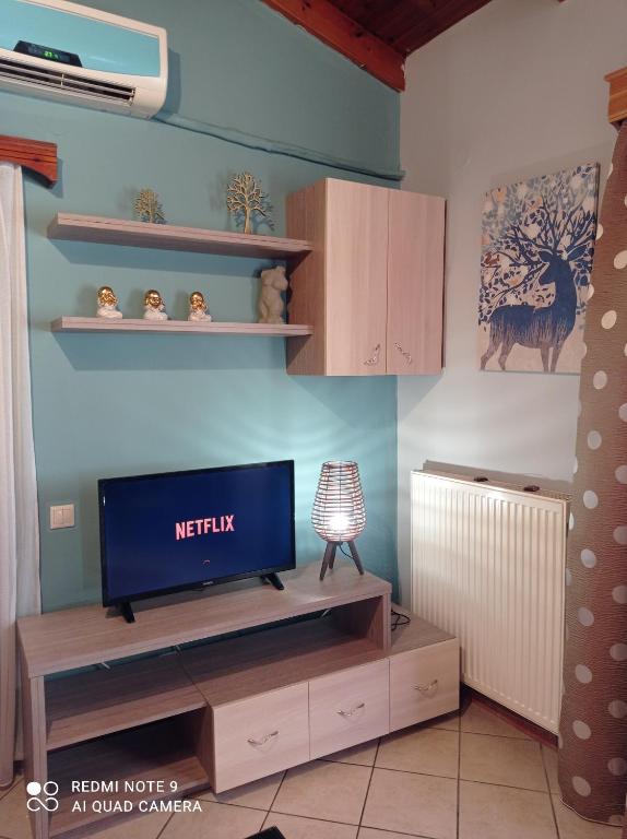 TV a/nebo společenská místnost v ubytování Bratis House